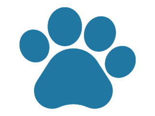 Pets
